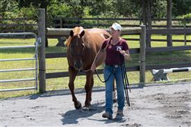 LR-WRF 08022025-Retreat-3287